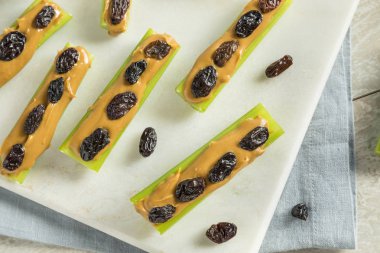 Ev yapımı karıncalar üzerinde bir günlük Snack