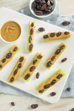 Ev yapımı karıncalar üzerinde bir günlük Snack