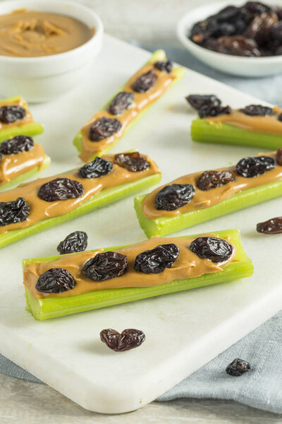 Homemade Ants on a Log Snack