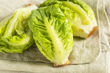Ham organik yeşil bebek marul Kalpler