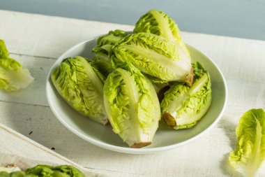 Ham organik yeşil bebek marul Kalpler