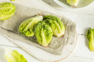 Ham organik yeşil bebek marul Kalpler