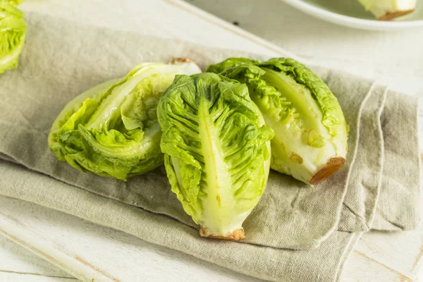 Corações de alface de bebê verde orgânico cru — Fotografia de Stock