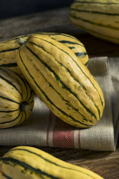 Abóbora de Delicata orgânica crua — Fotografia de Stock