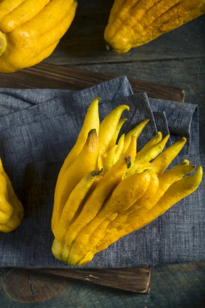 Agrumi della mano dei Buddha biologici gialli — Foto Stock