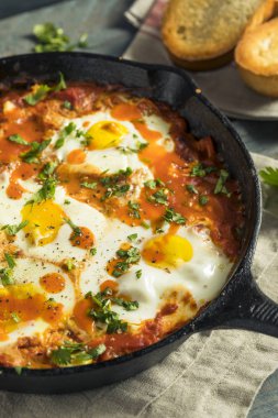 Yumurta ile ev yapımı şımarık Shakshuka