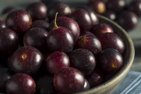 Domowe słodkie Muscadine winogron — Zdjęcie stockowe