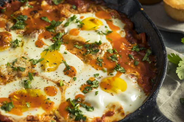 Yumurta ile ev yapımı şımarık Shakshuka
