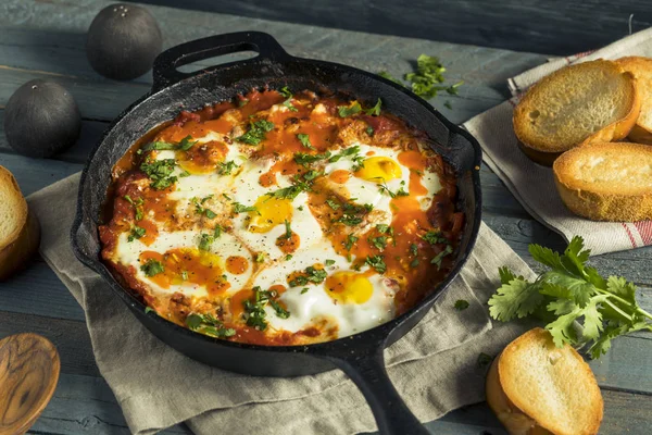 用鸡蛋自制俏皮 Shakshuka — 图库照片