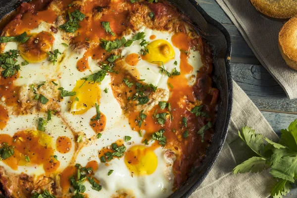 用鸡蛋自制俏皮 Shakshuka — 图库照片