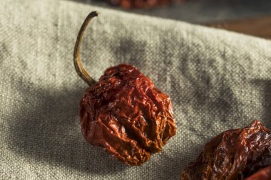 Süper sıcak baharatlı Akrep Bhut Jolokia biber