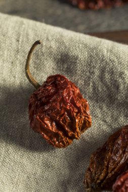 Süper sıcak baharatlı Akrep Bhut Jolokia biber