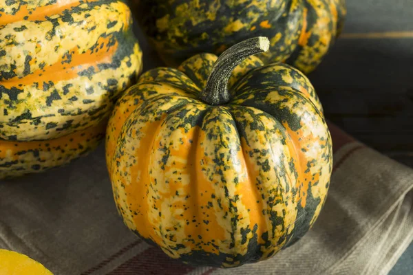 Raw Orange Conffeti Acorn Squash — Stock Photo, Image