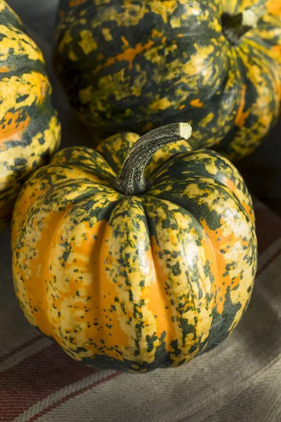 Laranja crua Conffeti Acorn Squash — Fotografia de Stock