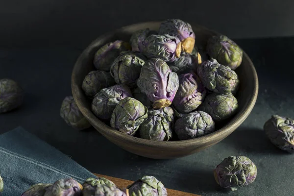 Сырая зеленая и пурпурная брюссельская капуста — стоковое фото