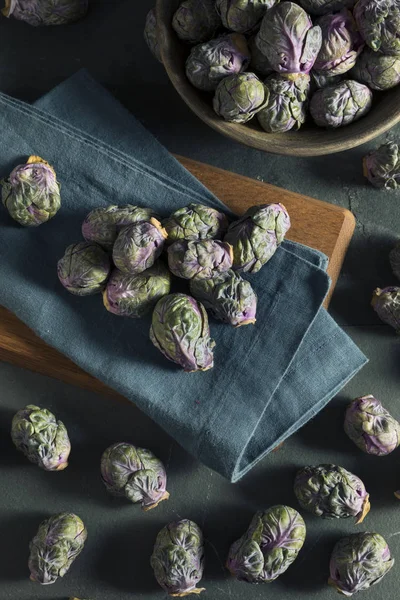 Rauwe groene en paarse Brussel spruitjes — Stockfoto