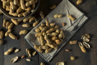 Kavrulmuş tuzlu kuru kabuklu fıstık