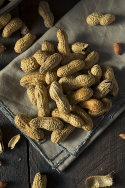 Kavrulmuş tuzlu kuru kabuklu fıstık
