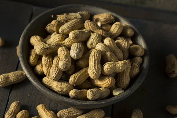 Suchý, solené pražené skořápky ořechů — Stock fotografie
