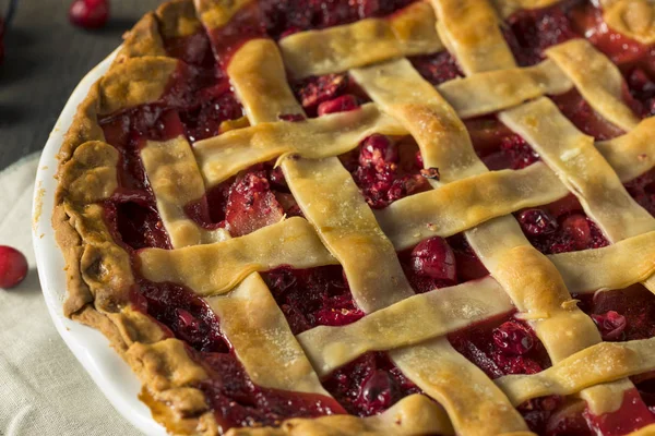 Sweet zelfgemaakte Cranberry en peren taart — Stockfoto