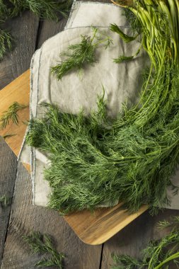 Ham organik yeşil bebek dereotu