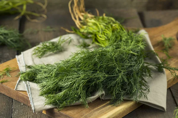 Ham organik yeşil bebek dereotu