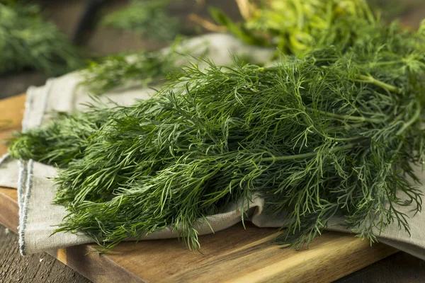 Ham organik yeşil bebek dereotu