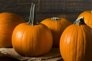 Ham portakal organik pasta kabak