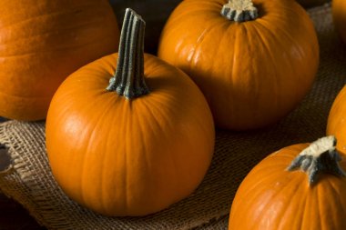 Ham portakal organik pasta kabak