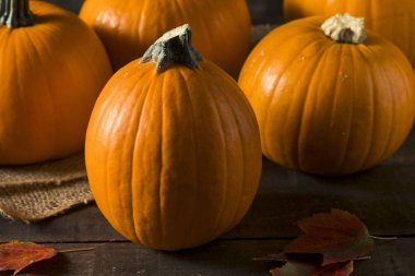 Ham portakal organik pasta kabak