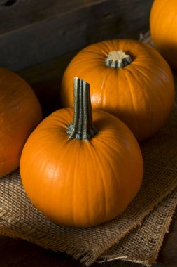 Ham portakal organik pasta kabak