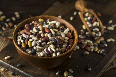 Çeşitli karışık organik kuru fasulye yığını