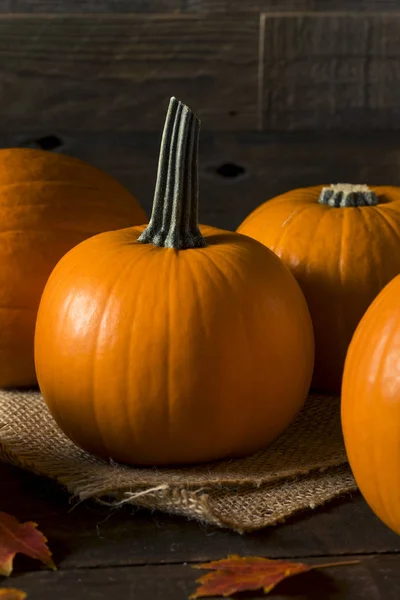 Raw Orange Organic Pie Pumpkins — Stock Photo, Image