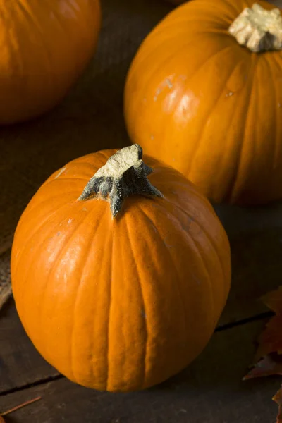 Abóboras de torta orgânica laranja crua — Fotografia de Stock