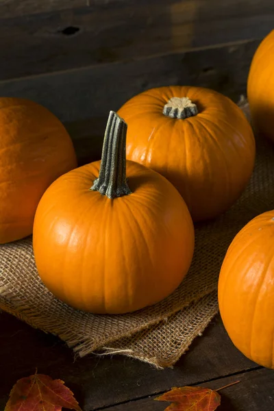 Calabazas de pastel ecológico naranja cruda —  Fotos de Stock