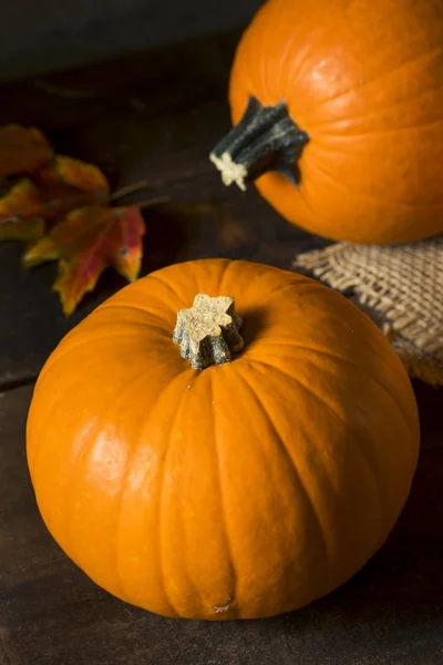 Calabazas de pastel ecológico naranja cruda —  Fotos de Stock