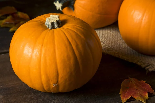 Rohe orangefarbene Bio-Kuchenkürbisse — Stockfoto