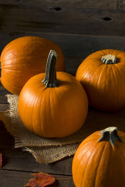 Ham portakal organik pasta kabak