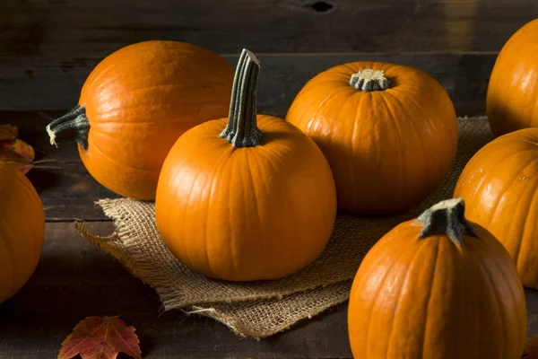 Calabazas de pastel ecológico naranja cruda —  Fotos de Stock