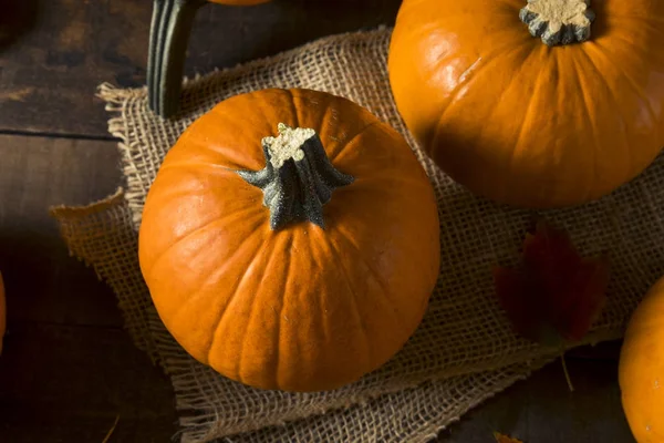 Rohe orangefarbene Bio-Kuchenkürbisse — Stockfoto