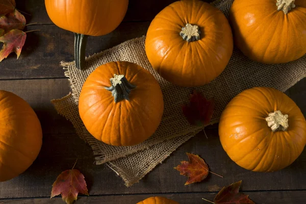 Ham portakal organik pasta kabak