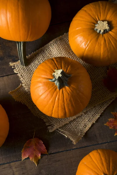 Ham portakal organik pasta kabak