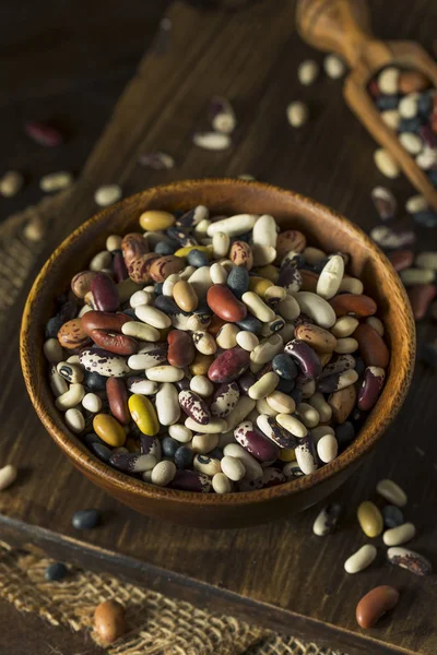 Hromada různé smíšené organické suché fazole — Stock fotografie