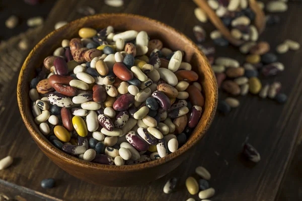 Heap of Assorted Mixed Organic Dry Beans — Stock Photo, Image