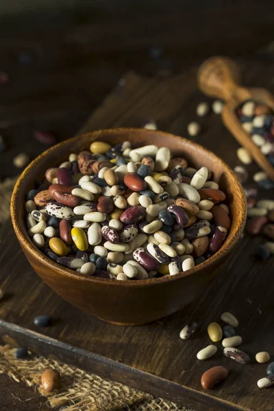 Heap of Assorted Mixed Organic Dry Beans — Stock Photo, Image