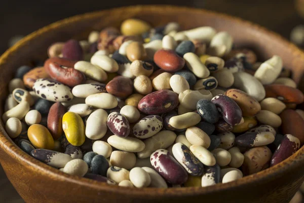 Heap of Assorted Mixed Organic Dry Beans — Stock Photo, Image