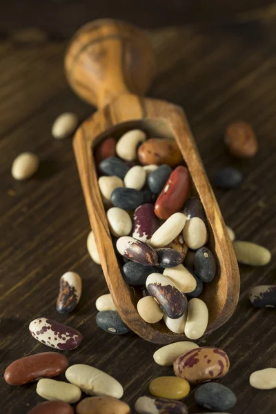 Heap of Assorted Mixed Organic Dry Beans — Stock Photo, Image