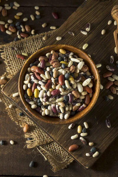 Heap of Assorted Mixed Organic Dry Beans — Stock Photo, Image