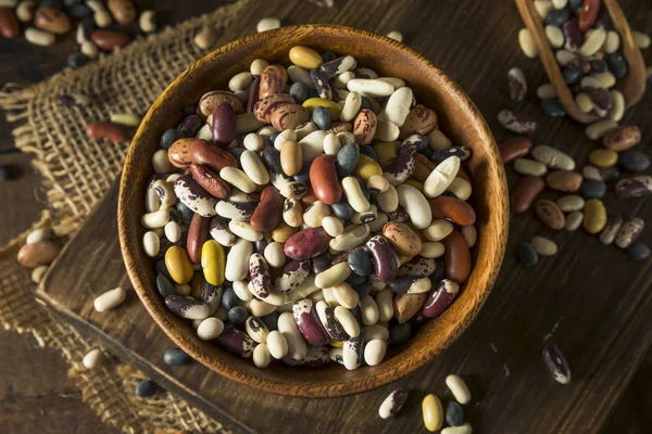 Heap of Assorted Mixed Organic Dry Beans — Stock Photo, Image