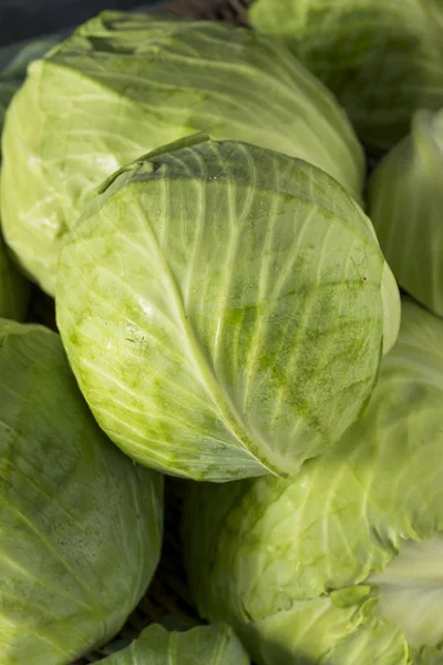 Coles ecológicas verdes crudas —  Fotos de Stock